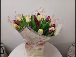 Simply Tulips 