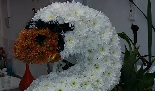 sympathy arrangement cottonbuds florists Northampton